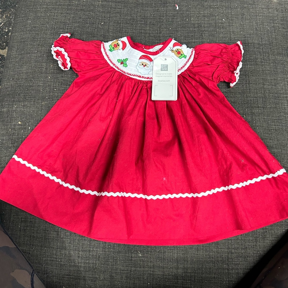 Lil cactus Christmas dress